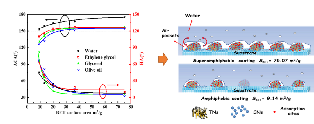 ߻˫Ϳ㼰΢ɽṹ˫ܵӰ2.png